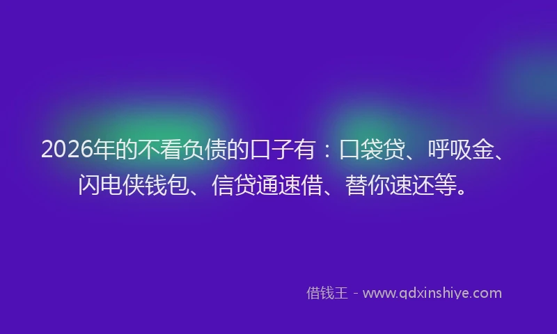 2026年的不看负债的口子有：口袋贷、呼吸金、闪电侠钱包、信贷通速借、替你速还等。