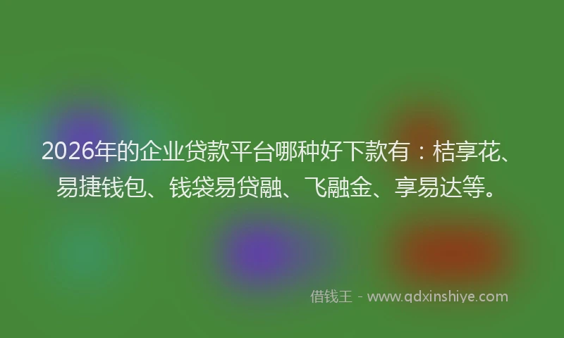 2026年的企业贷款平台哪种好下款有：桔享花、易捷钱包、钱袋易贷融、飞融金、享易达等。