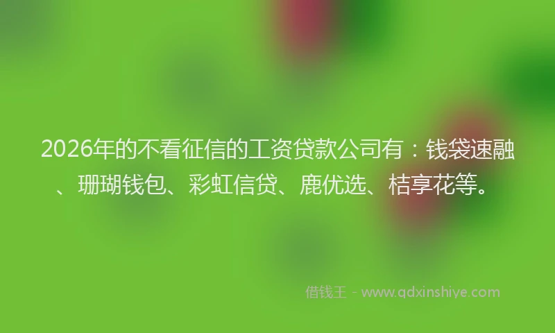 2026年的不看征信的工资贷款公司有：钱袋速融、珊瑚钱包、彩虹信贷、鹿优选、桔享花等。