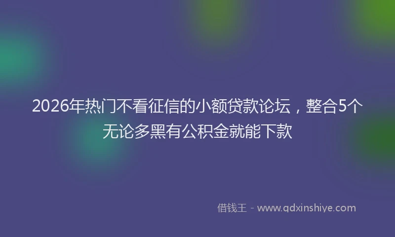 2026年热门不看征信的小额贷款论坛，整合5个无论多黑有公积金就能下款