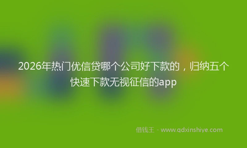 2026年热门优信贷哪个公司好下款的，归纳五个快速下款无视征信的app