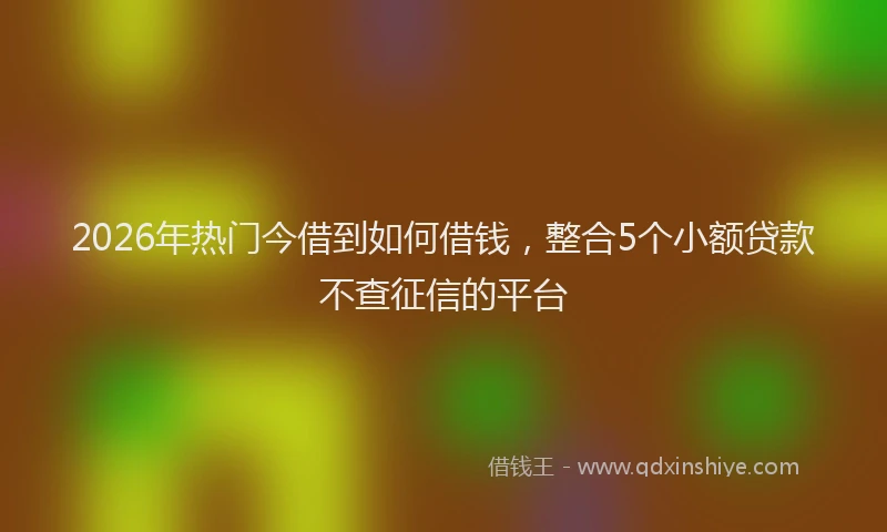 2026年热门今借到如何借钱，整合5个小额贷款不查征信的平台