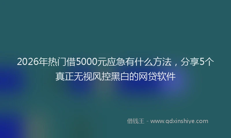 2026年热门借5000元应急有什么方法，分享5个真正无视风控黑白的网贷软件