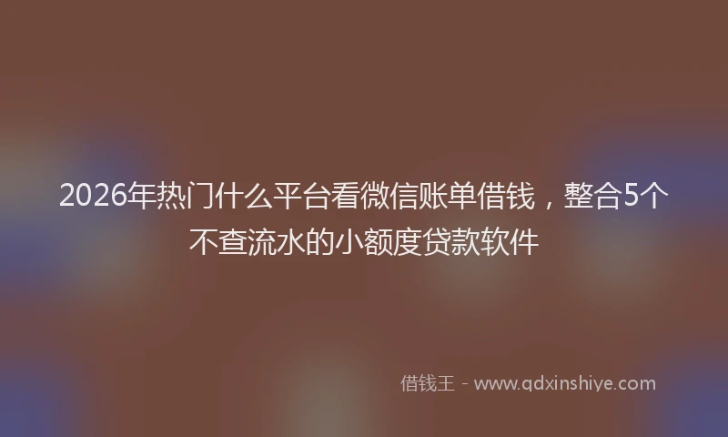 2026年热门什么平台看微信账单借钱，整合5个不查流水的小额度贷款软件
