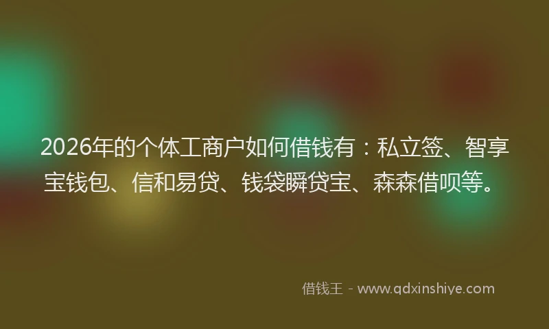 2026年的个体工商户如何借钱有：私立签、智享宝钱包、信和易贷、钱袋瞬贷宝、森森借呗等。