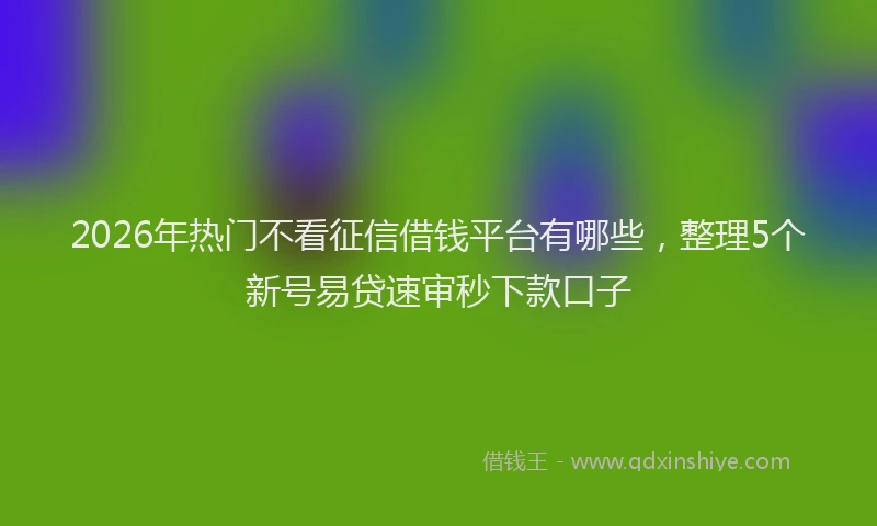 2026年热门不看征信借钱平台有哪些，整理5个新号易贷速审秒下款口子