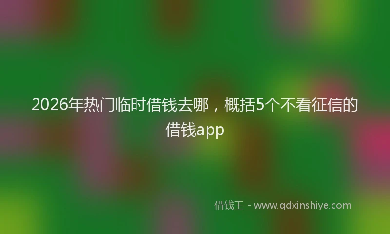2026年热门临时借钱去哪，概括5个不看征信的借钱app