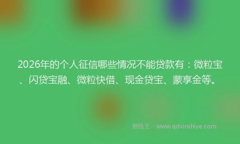 2026年的个人征信哪些情况不能贷款有：微粒宝、闪贷宝融、微粒快借、现金贷宝、蒙享金等。