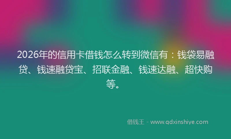 2026年的信用卡借钱怎么转到微信有：钱袋易融贷、钱速融贷宝、招联金融、钱速达融、超快购等。