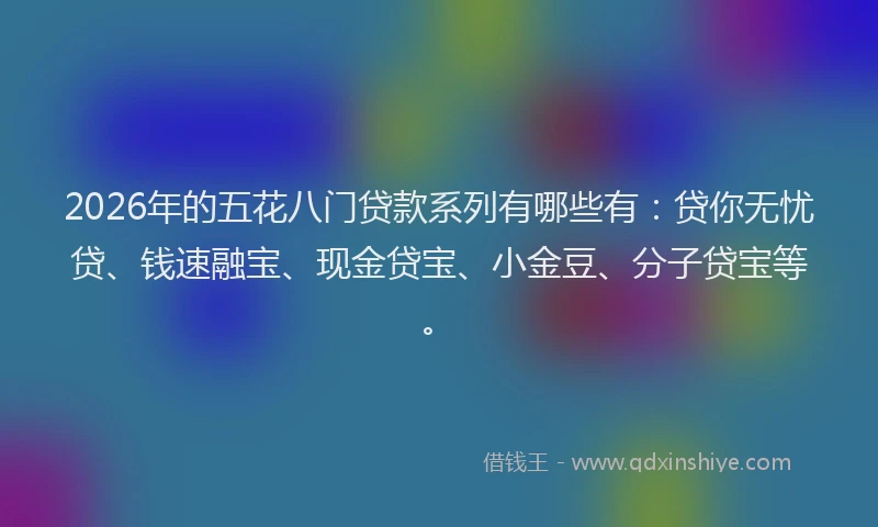 2026年的五花八门贷款系列有哪些有：贷你无忧贷、钱速融宝、现金贷宝、小金豆、分子贷宝等。