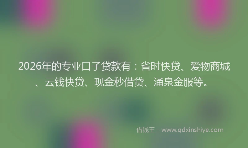 2026年的专业口子贷款有：省时快贷、爱物商城、云钱快贷、现金秒借贷、涌泉金服等。