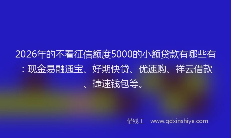 2026年的不看征信额度5000的小额贷款有哪些有：现金易融通宝、好期快贷、优速购、祥云借款、捷速钱包等。