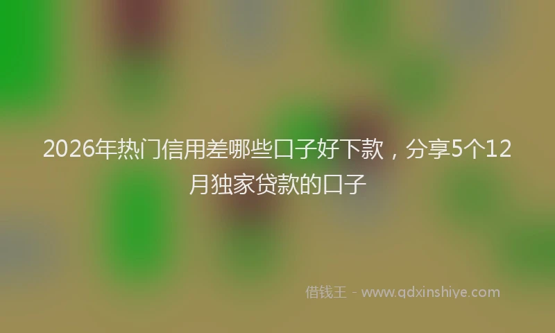 2026年热门信用差哪些口子好下款，分享5个12月独家贷款的口子