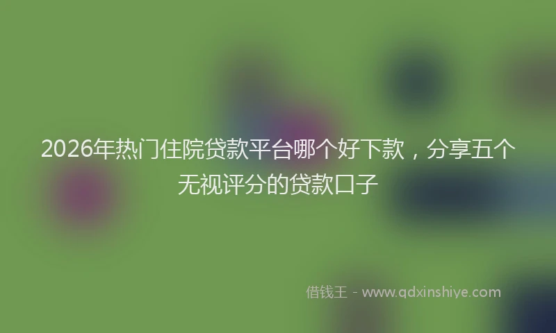 2026年热门住院贷款平台哪个好下款，分享五个无视评分的贷款口子