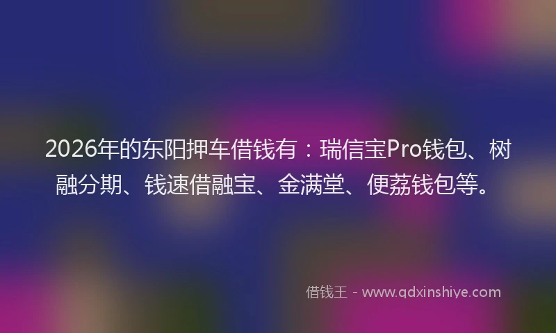 2026年的东阳押车借钱有：瑞信宝Pro钱包、树融分期、钱速借融宝、金满堂、便荔钱包等。