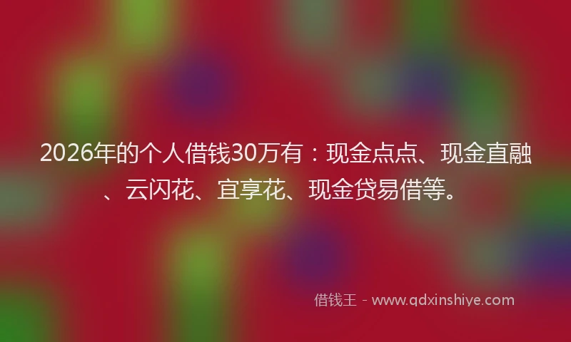 2026年的个人借钱30万有：现金点点、现金直融、云闪花、宜享花、现金贷易借等。