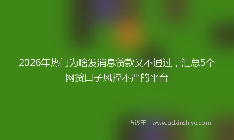 2026年热门为啥发消息贷款又不通过，汇总5个网贷口子风控不严的平台