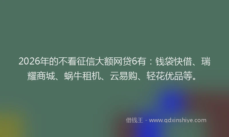 2026年的不看征信大额网贷6有：钱袋快借、瑞耀商城、蜗牛租机、云易购、轻花优品等。
