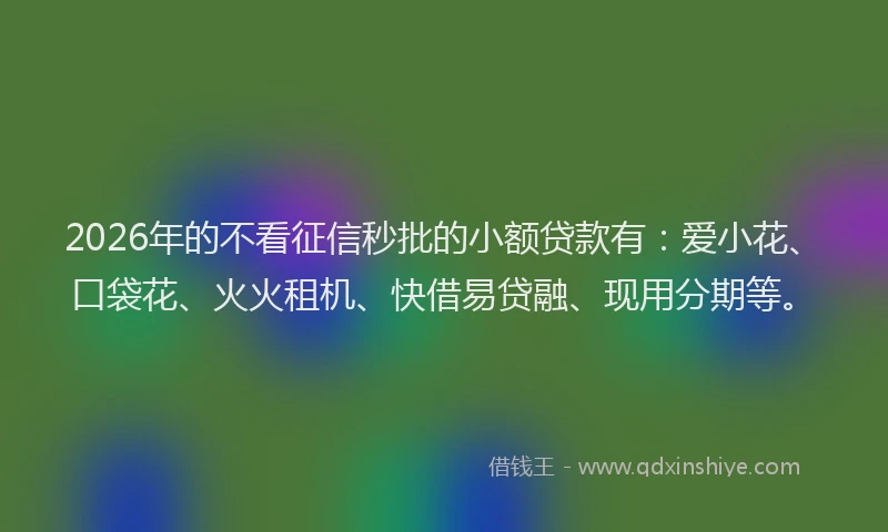 2026年的不看征信秒批的小额贷款有：爱小花、口袋花、火火租机、快借易贷融、现用分期等。
