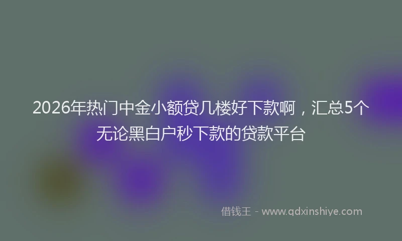 2026年热门中金小额贷几楼好下款啊，汇总5个无论黑白户秒下款的贷款平台