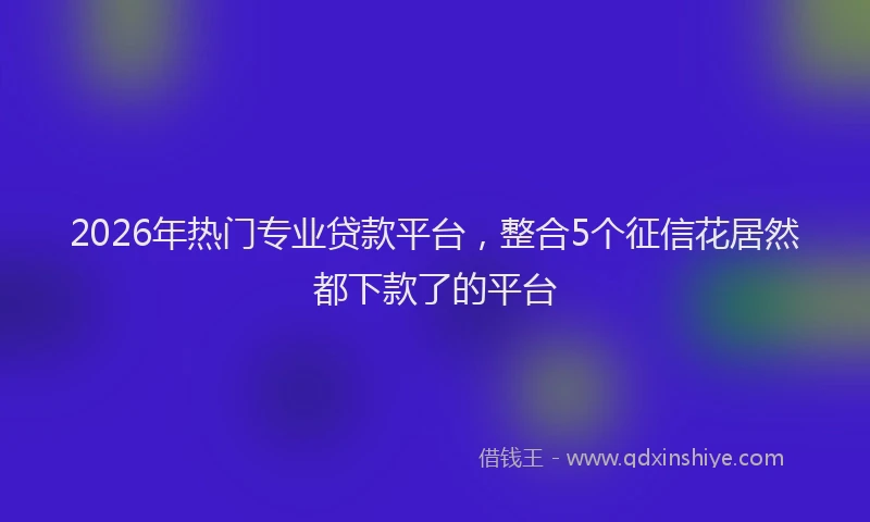 2026年热门专业贷款平台，整合5个征信花居然都下款了的平台