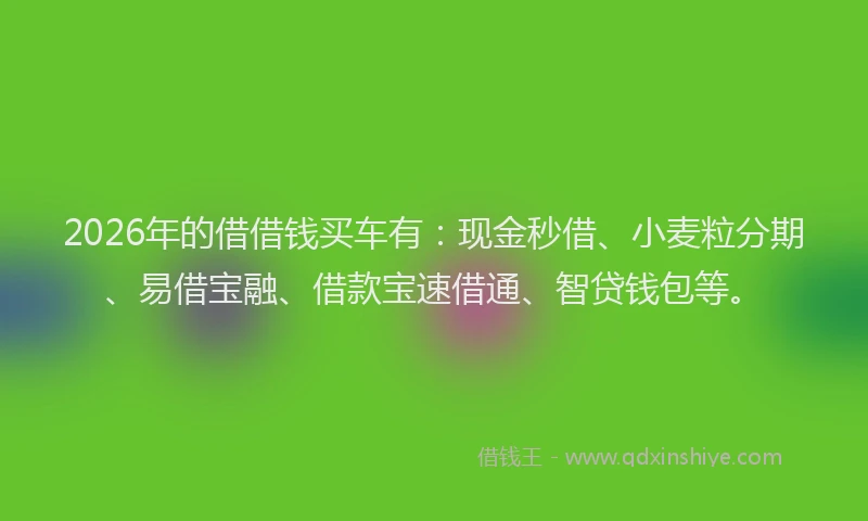 2026年的借借钱买车有：现金秒借、小麦粒分期、易借宝融、借款宝速借通、智贷钱包等。
