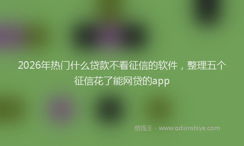 2026年热门什么贷款不看征信的软件，整理五个征信花了能网贷的app