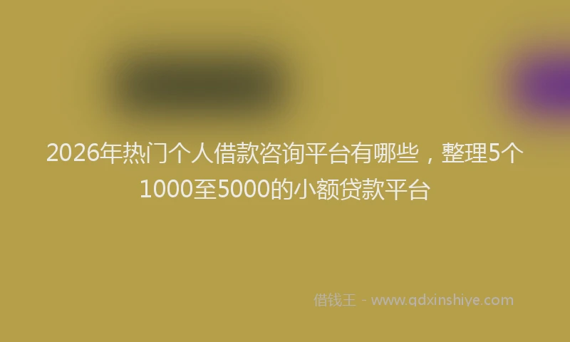 2026年热门个人借款咨询平台有哪些，整理5个1000至5000的小额贷款平台