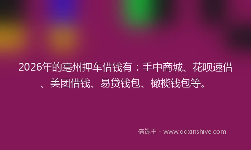 2026年的亳州押车借钱有：手中商城、花呗速借、美团借钱、易贷钱包、橄榄钱包等。