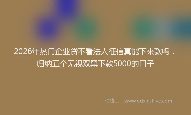 2026年热门企业贷不看法人征信真能下来款吗，归纳五个无视双黑下款5000的口子