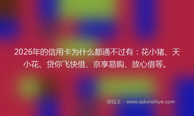 2026年的信用卡为什么都通不过有：花小猪、天小花、贷你飞快借、京享易购、放心借等。