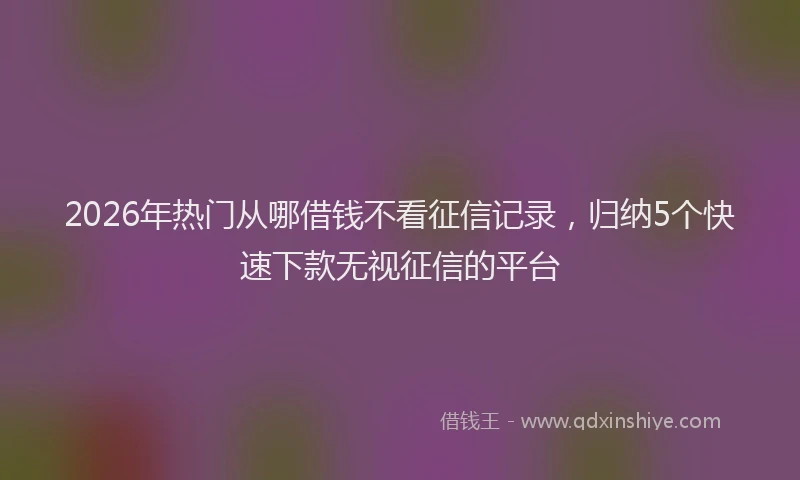 2026年热门从哪借钱不看征信记录，归纳5个快速下款无视征信的平台