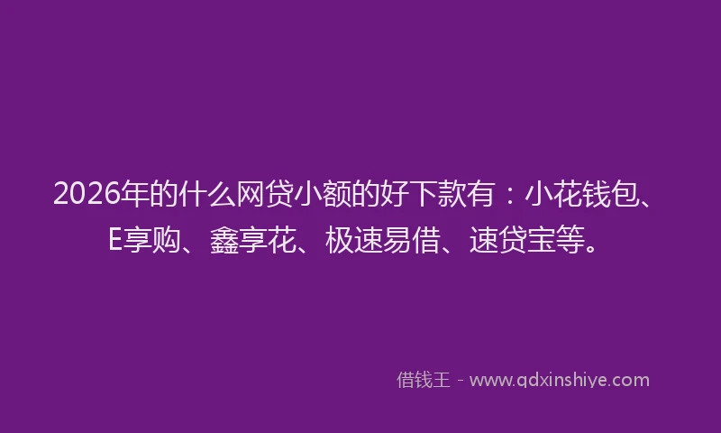 2026年的什么网贷小额的好下款有：小花钱包、E享购、鑫享花、极速易借、速贷宝等。