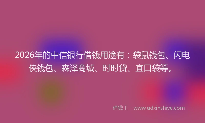 2026年的中信银行借钱用途有：袋鼠钱包、闪电侠钱包、森泽商城、时时贷、宜口袋等。