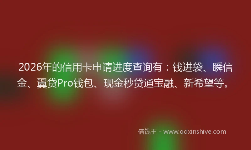 2026年的信用卡申请进度查询有：钱进袋、瞬信金、翼贷Pro钱包、现金秒贷通宝融、新希望等。