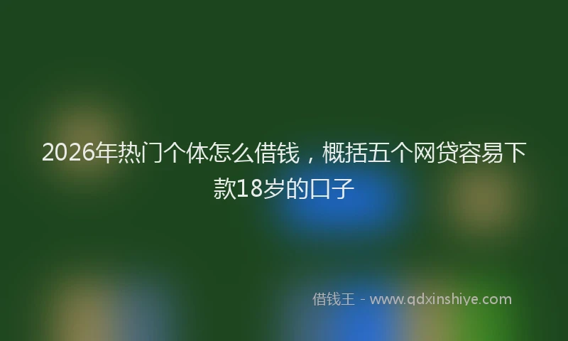 2026年热门个体怎么借钱，概括五个网贷容易下款18岁的口子