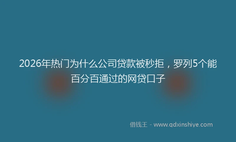2026年热门为什么公司贷款被秒拒，罗列5个能百分百通过的网贷口子