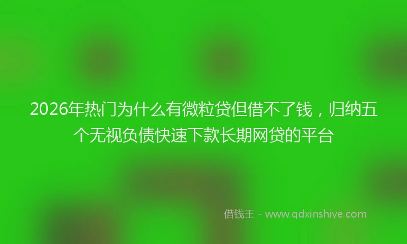2026年热门为什么有微粒贷但借不了钱，归纳五个无视负债快速下款长期网贷的平台