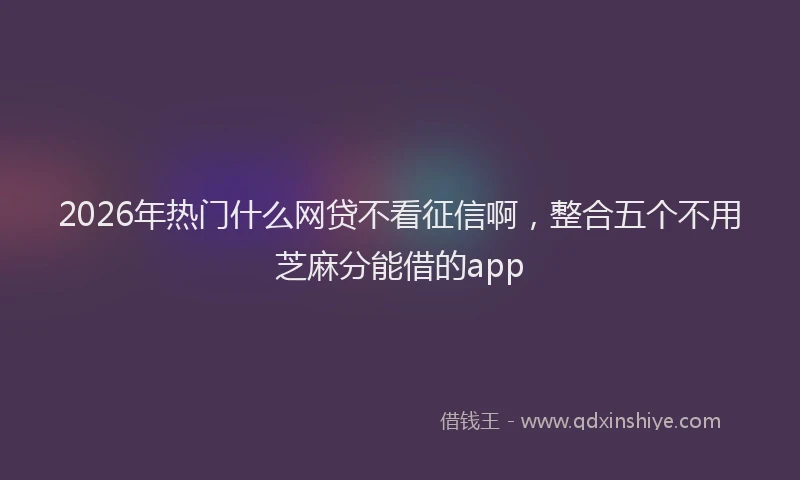 2026年热门什么网贷不看征信啊，整合五个不用芝麻分能借的app