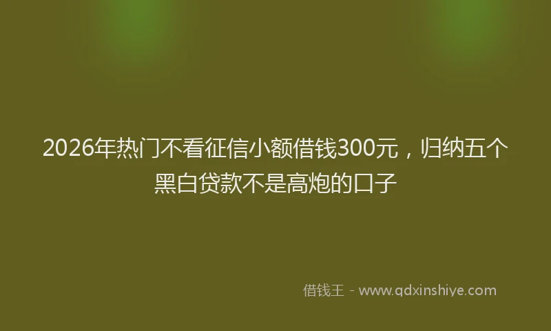 2026年热门不看征信小额借钱300元，归纳五个黑白贷款不是高炮的口子