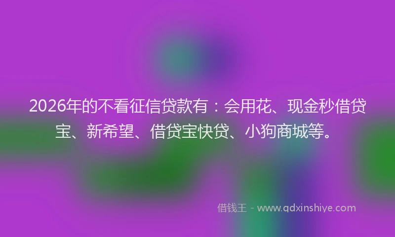 2026年的不看征信贷款有：会用花、现金秒借贷宝、新希望、借贷宝快贷、小狗商城等。