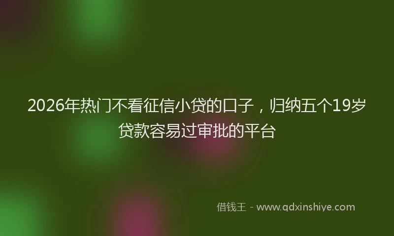 2026年热门不看征信小贷的口子，归纳五个19岁贷款容易过审批的平台