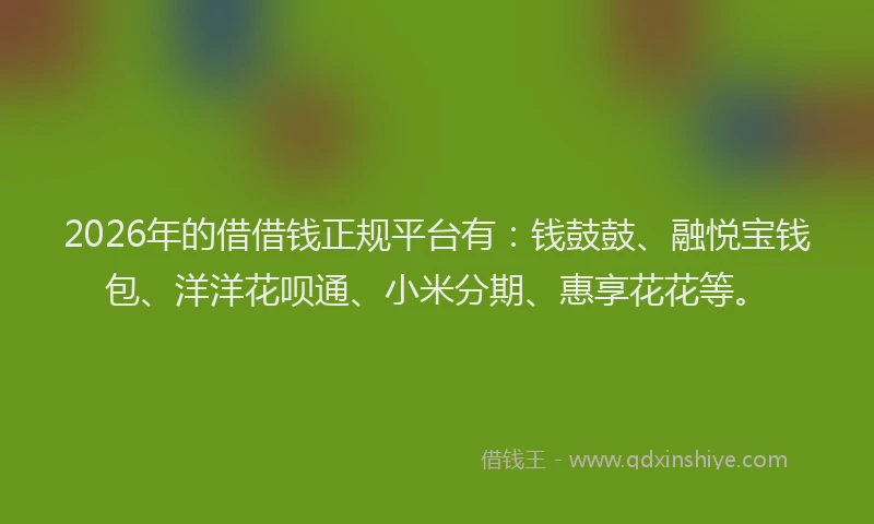 2026年的借借钱正规平台有：钱鼓鼓、融悦宝钱包、洋洋花呗通、小米分期、惠享花花等。