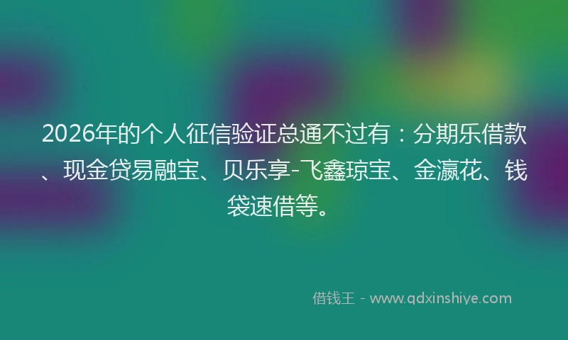 2026年的个人征信验证总通不过有：分期乐借款、现金贷易融宝、贝乐享-飞鑫琼宝、金瀛花、钱袋速借等。