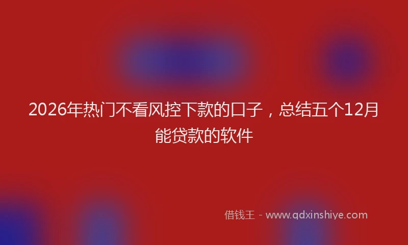 2026年热门不看风控下款的口子，总结五个12月能贷款的软件