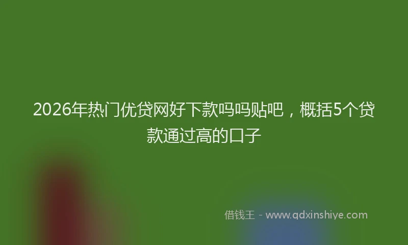 2026年热门优贷网好下款吗吗贴吧，概括5个贷款通过高的口子