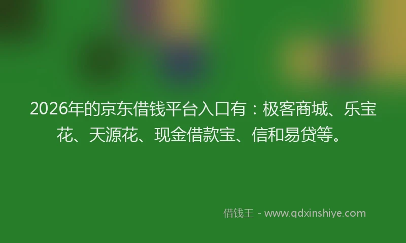 2026年的京东借钱平台入口有：极客商城、乐宝花、天源花、现金借款宝、信和易贷等。