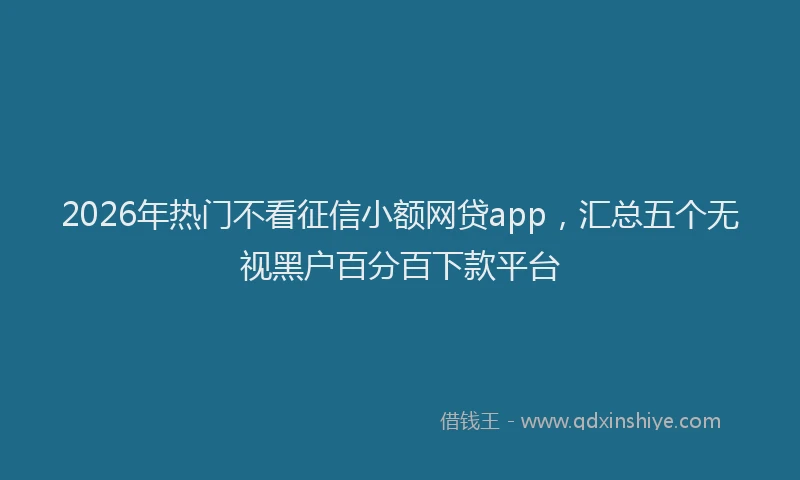 2026年热门不看征信小额网贷app，汇总五个无视黑户百分百下款平台