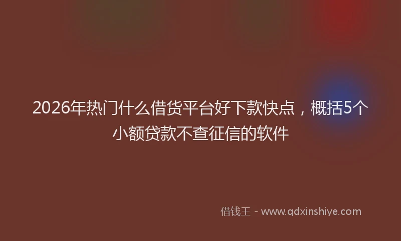 2026年热门什么借货平台好下款快点，概括5个小额贷款不查征信的软件