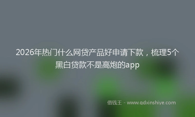 2026年热门什么网贷产品好申请下款，梳理5个黑白贷款不是高炮的app